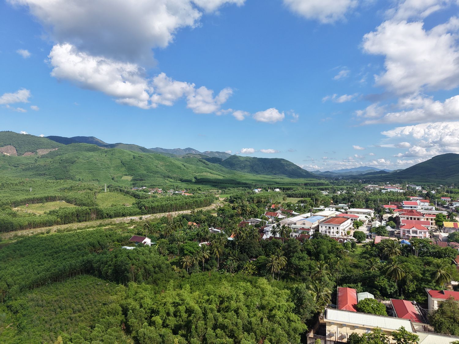 Một góc rừng tại Vân Canh, tỉnh Gia Lai