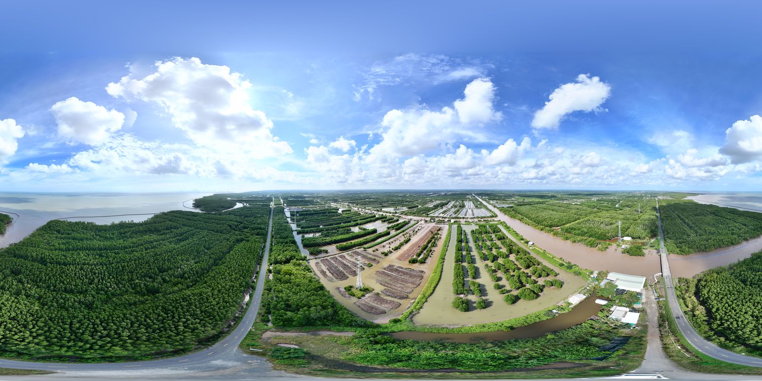 Một góc rừng ngập mặn tỉnh Cà Mau